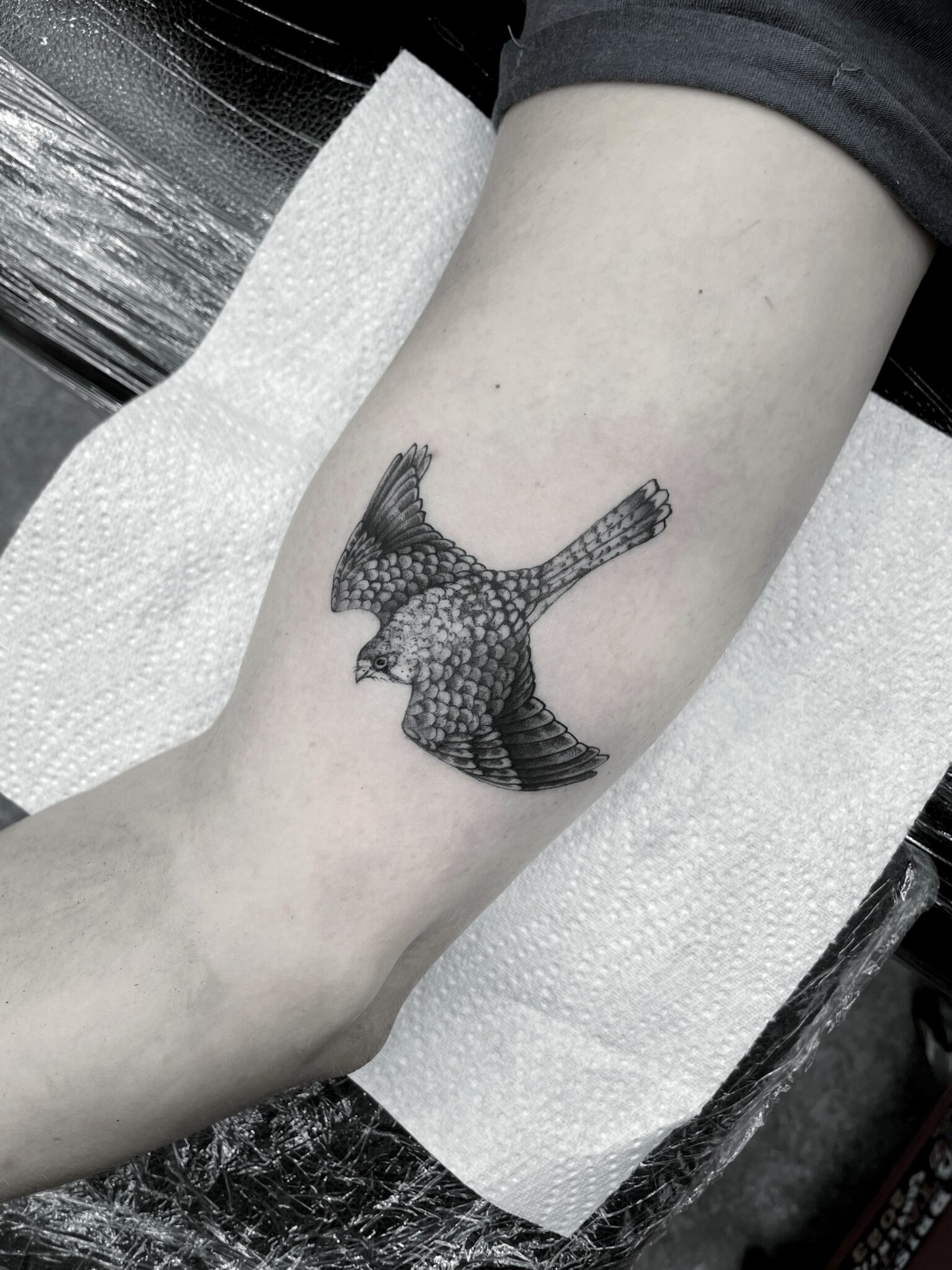Black cat friday - La Boucherie Moderne - Bruxelles Tattoo