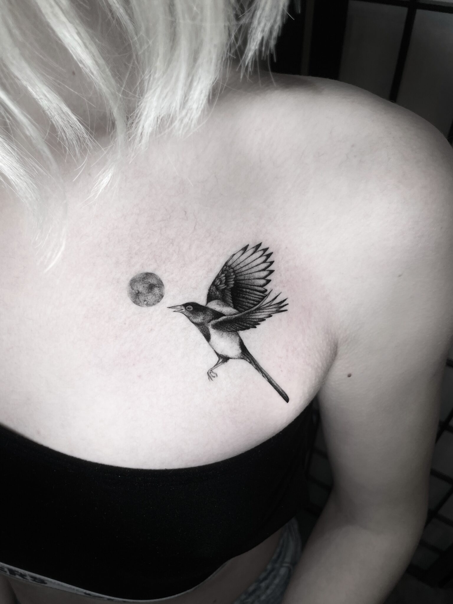 Black cat friday - La Boucherie Moderne - Bruxelles Tattoo