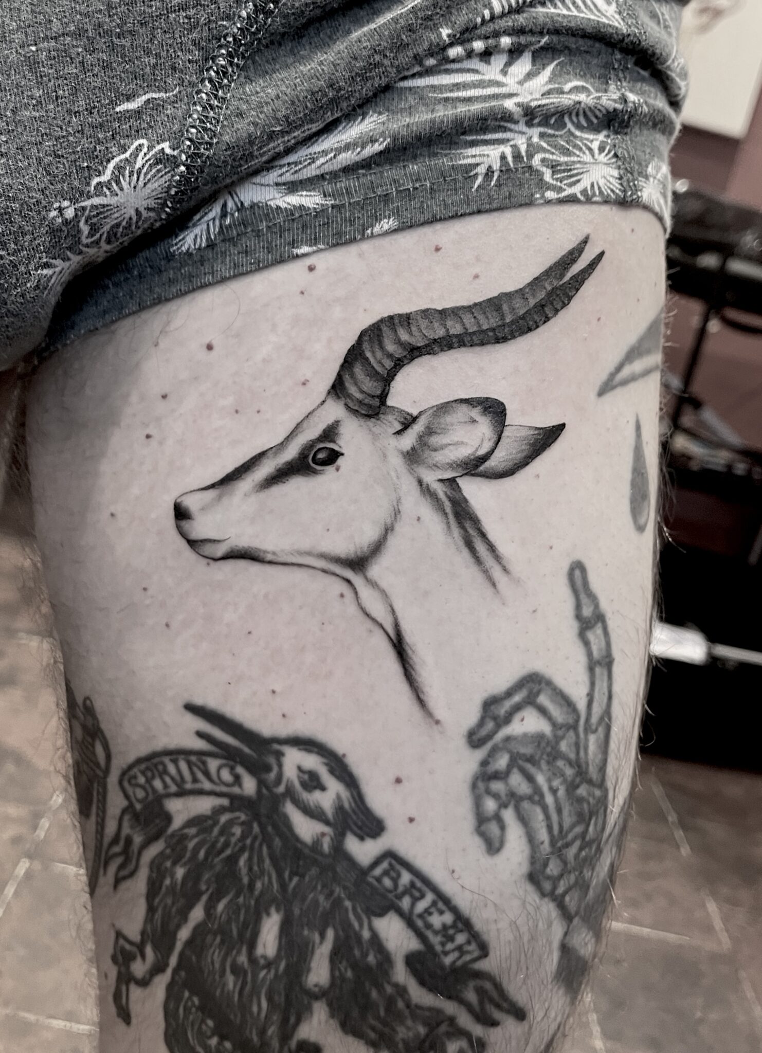 Black cat friday - La Boucherie Moderne - Bruxelles Tattoo