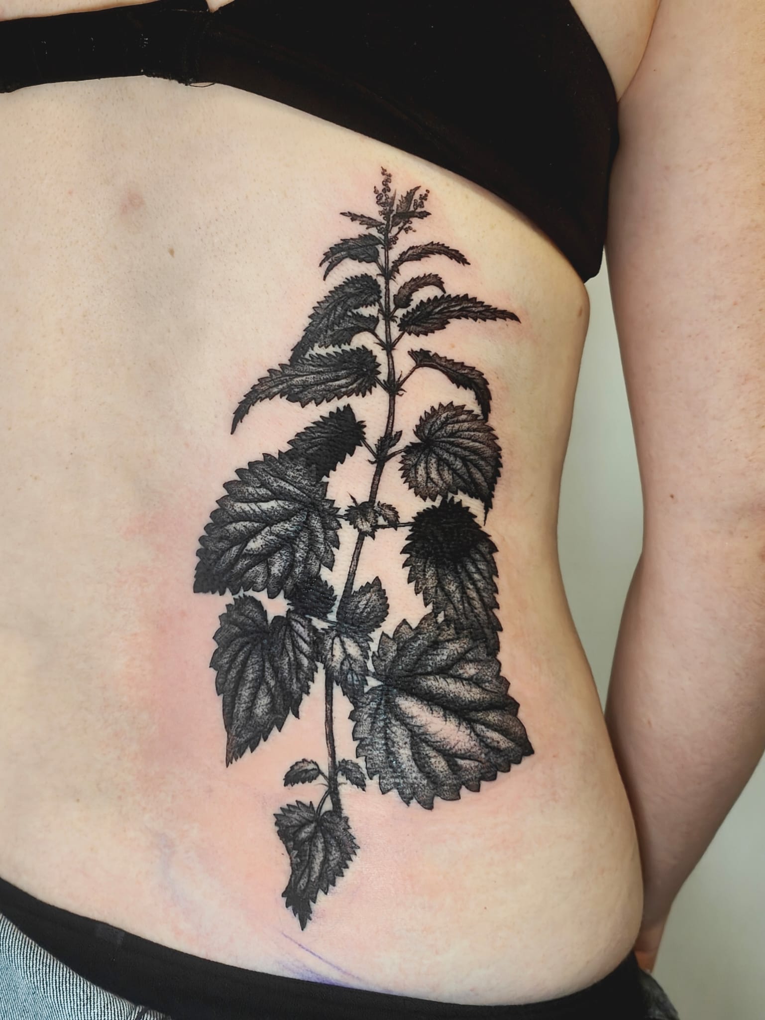 Harissa - Tattoo Bruxelles - La boucherie moderne